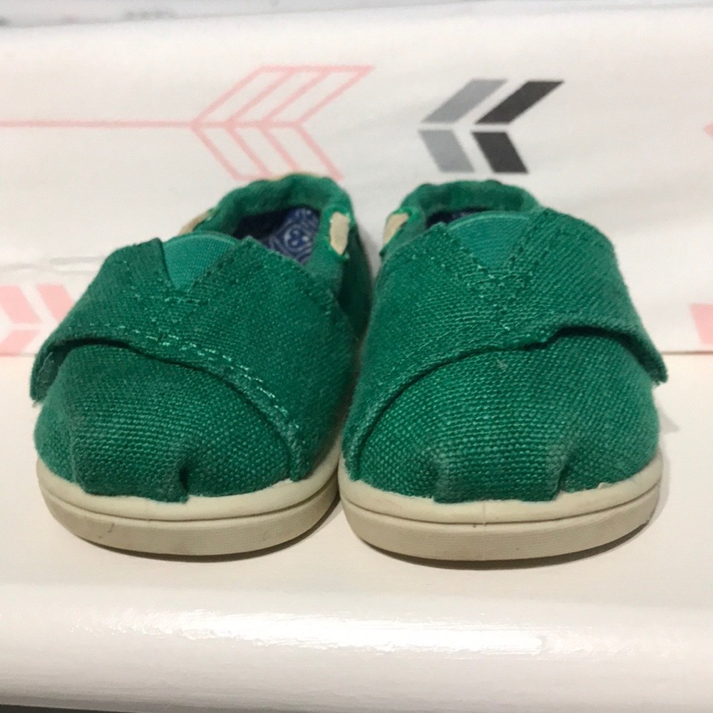Baby Toms